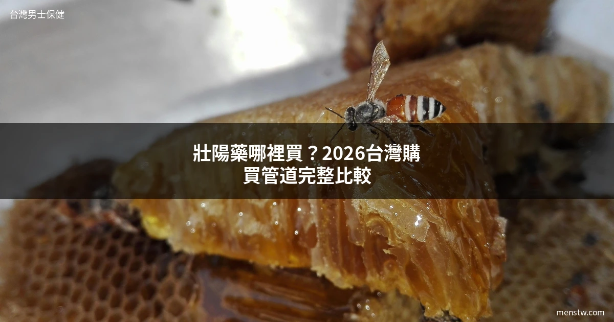 壯陽藥哪裡買 - 台灣購買管道完整比較
